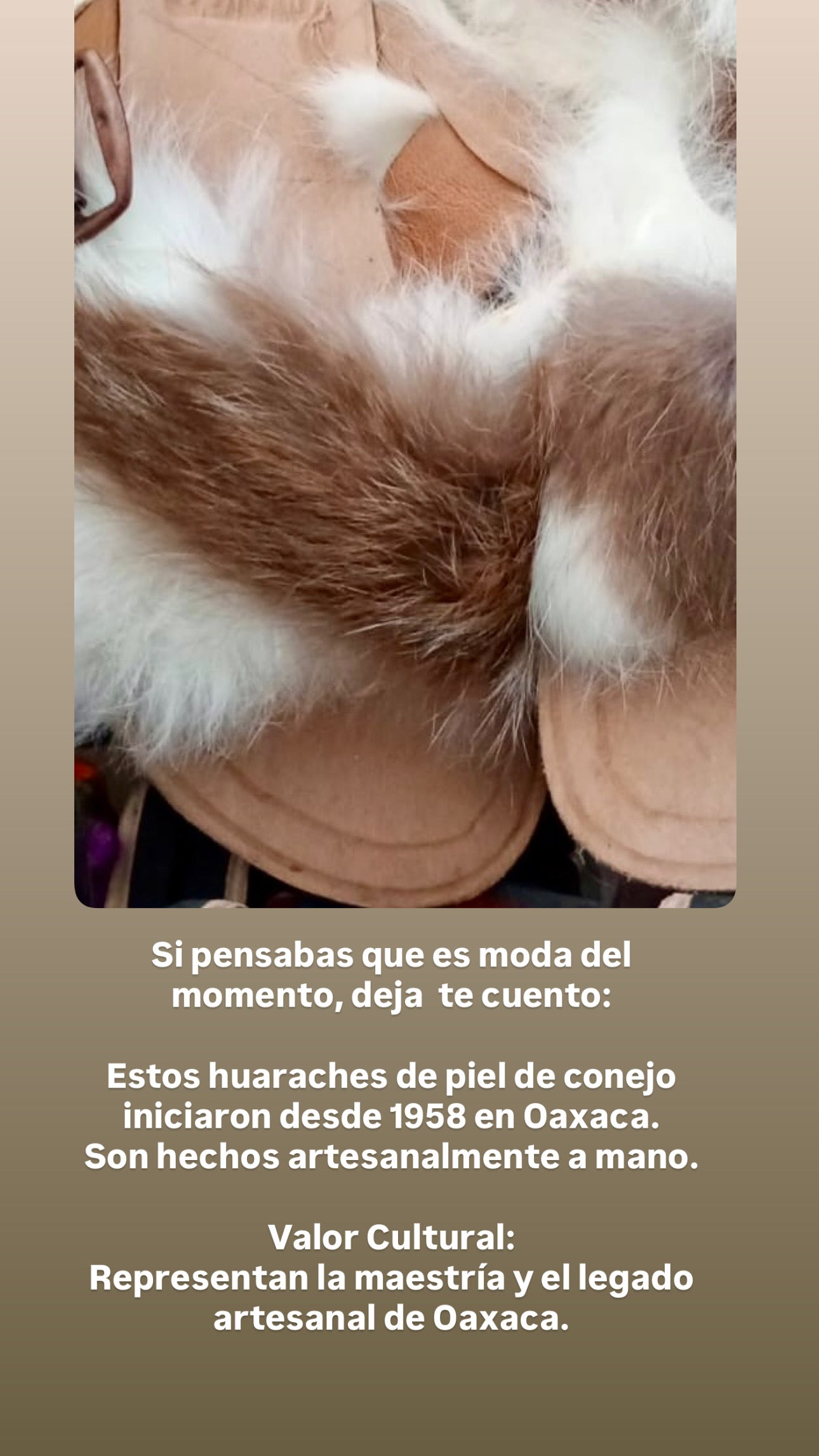 RAÍZ SUSTENTABLE